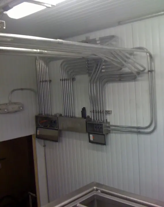 Neatly bent parallel conduit runs feeding stainless steel enclosures in a plant